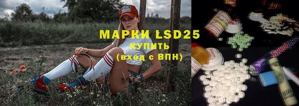 прущий лед Заводоуковск