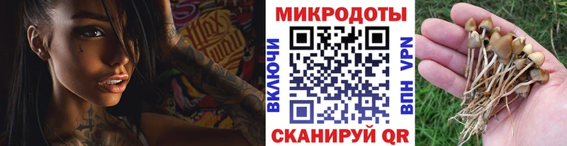 Галлюциногенные грибы GOLDEN TEACHER Звенигово